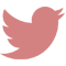 social_Twitter-pink